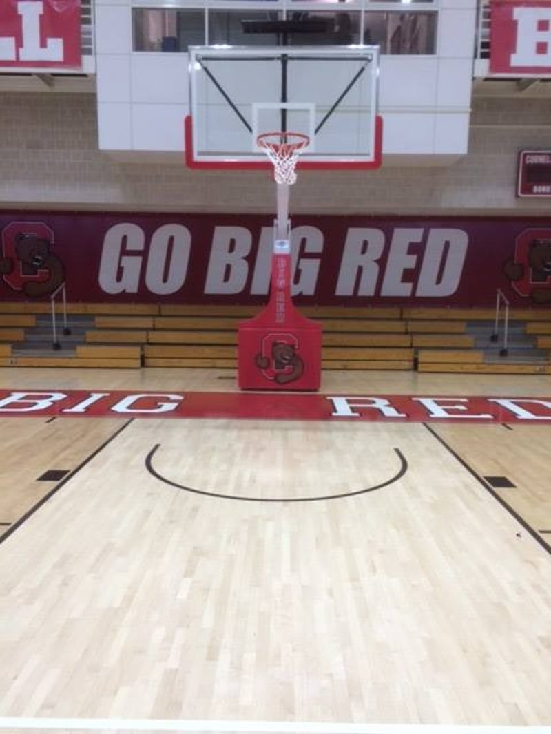 Cornell University preview 3